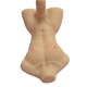 Simulación 3D Masculino Cadera Múltiple Penis Masturbation Sex Dolls