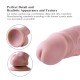 7 Inch Premium Silicone Dildo, Realistic Penis With Suction Cup (Small)