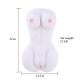 Sex Doll Torso Love Doll Female Body with Breasts Vagina and Anal